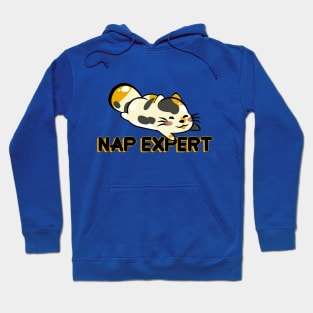 NAP EXPERT (KAWAII CAT) Hoodie